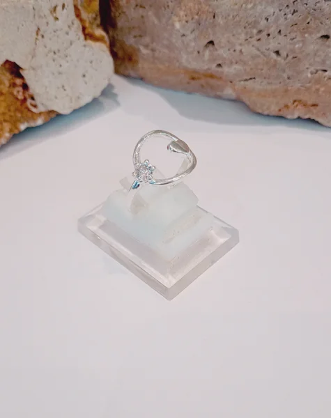 Anillo plata #25