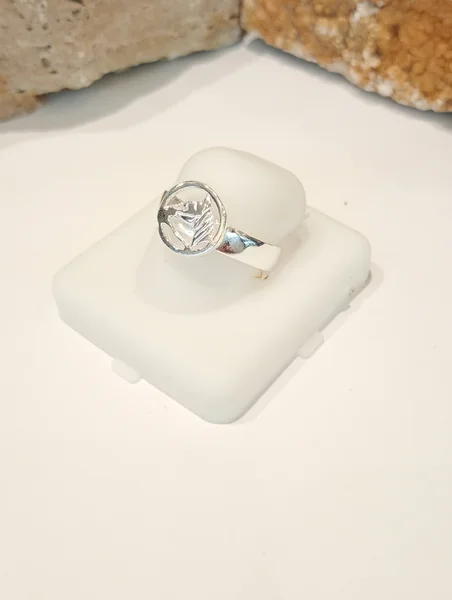 Anillo Plata Liso