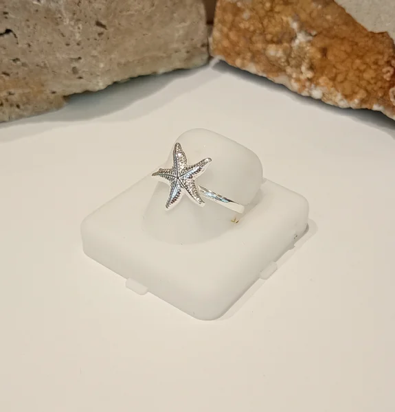 Anillo Plata Liso