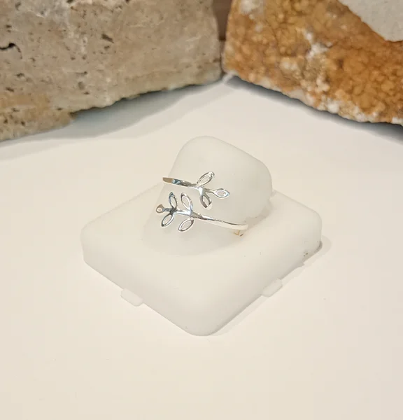 Anillo Plata Liso